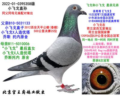 ���ȡ�С�w�꡿ֱ�O