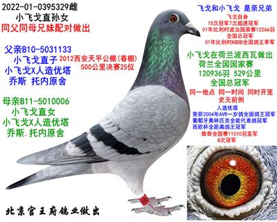 ���ȡ�С�w�꡿ֱ�OŮ