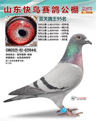 ɽ���������빫��˫�ظ���95��