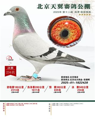 ������������Qِ234��