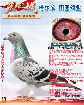 �������蹫�����20λֱ��