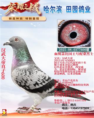 ������ֱ��600