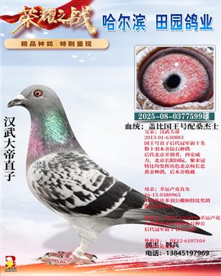 ������599