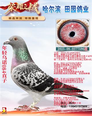 ������ŵֱ��