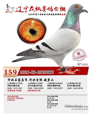 ɣ��ʿ ����833