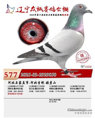 ɣ��ʿ ����850