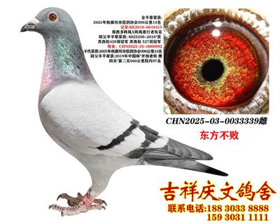 �|������