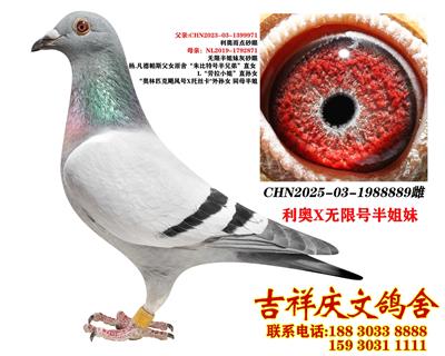 ���W���o��̖