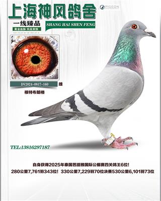 ����������6��