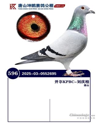 25������ɽ���i���P����20���Qِ596