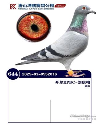 25����ӱ���ɽ���i�Qِ644��