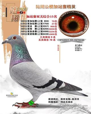 ������9����