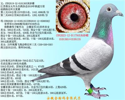 ��Ĭ����ղɭ���007  0117910