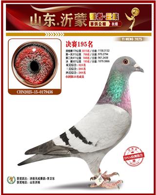 2025��ɽ�����ɹ������195��