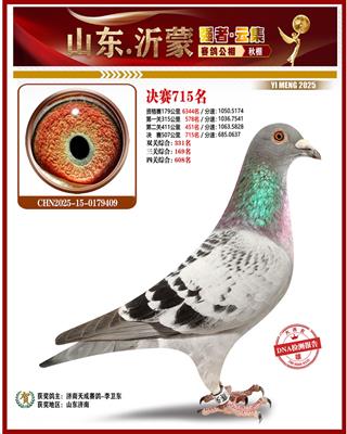 2025��ɽ�����ɹ������715��