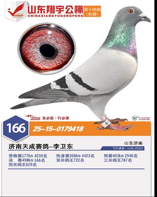 2025��ɽ����������166��