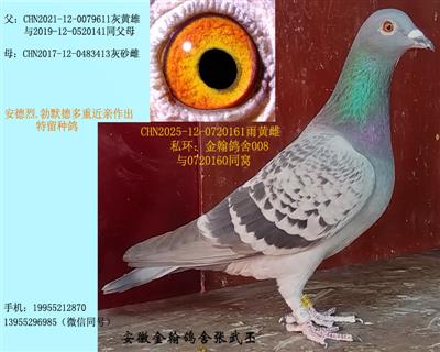 ��Ĭ�¶��ؽ��H���N��