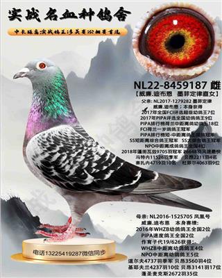 ��ī�ƶ���ֱŮ��