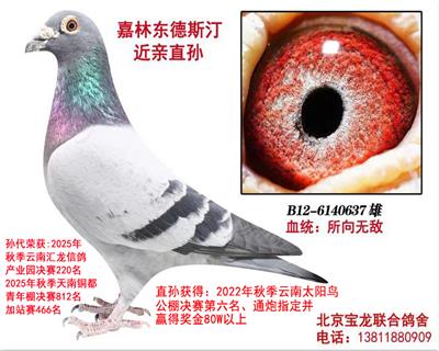 ���ֶ���˹��ֱ����ۣ�