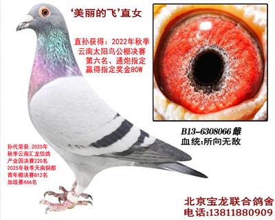 �����ķ�ֱŮ