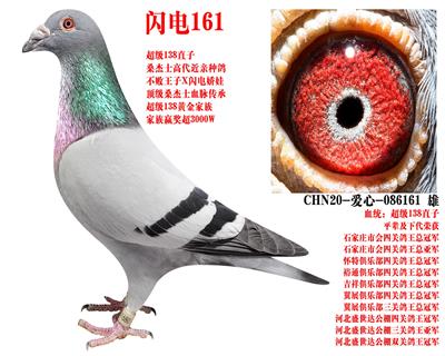 ɣ��ʿ ����161