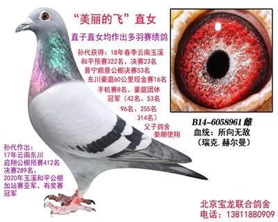 �����ķ�ֱŮ