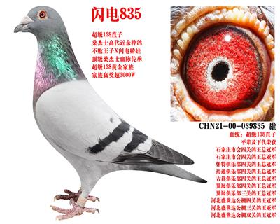 ɣ��ʿ ����835