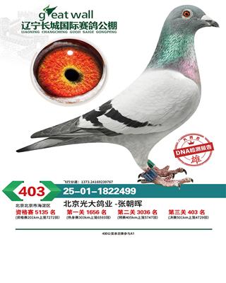 �|���L�ǹ��403��