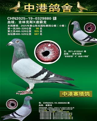 ��ɽ������ʹ��С�����935��