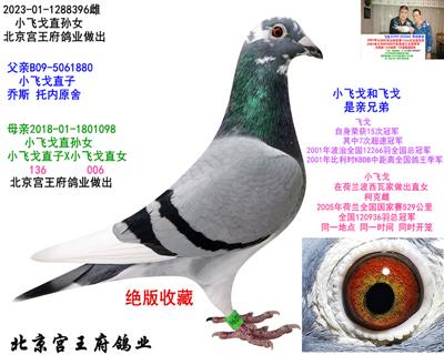 ���ȡ�С�ɸ꡿ֱ��Ů