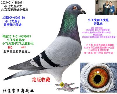 ���ȡ�С�ɸ꡿ֱ��Ů