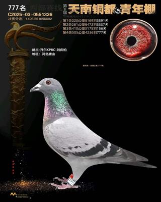 25��������ͭ�����������777��