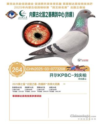 25�����(n��i)�ɹű���֮���Qِ264��