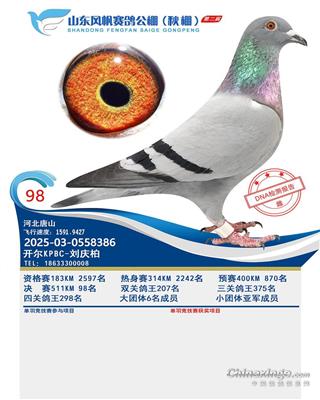 25����ɽ�|�L(f��ng)���Qِ98��