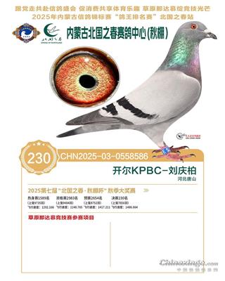 25�����(n��i)�ɹű���֮���Qِ230��