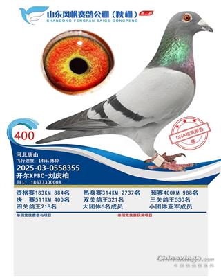 25����ɽ���緫����400��