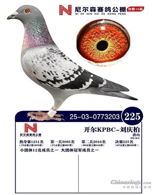 25������ɽ���ɭ����225��