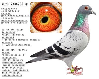 ������ֱ��Xī�ƶ���ֱŮ