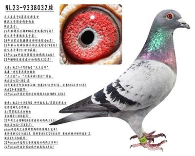 ������ֱ��Xī�ƶ���ֱŮ