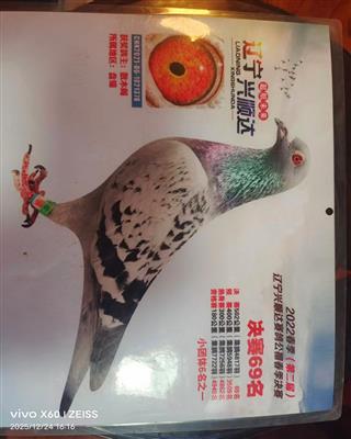 �������69��