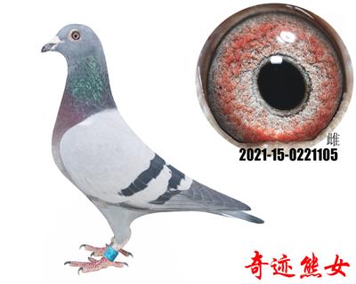 �漣��Ů�漣32����Ů����������Ů