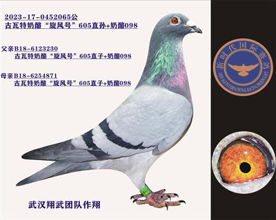 �����ء�����š�605ֱ��+����098