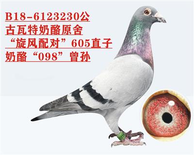 ������ԭ�ᡰ���硱605ֱ��+����098