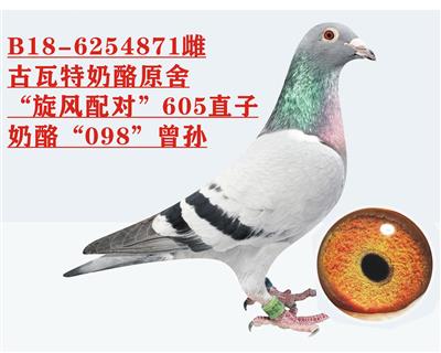 ������ԭ�ᡰ���硱605ֱ��+����098