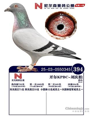 25������ɽ�᠖ɭ�Qِ394��