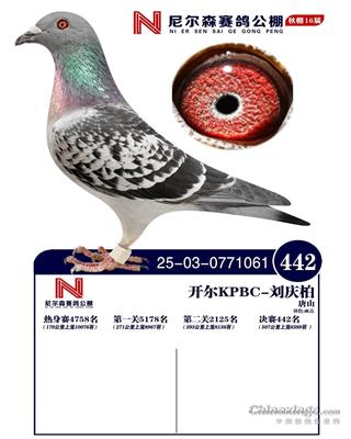 25������ɽ�᠖ɭ�Qِ442��