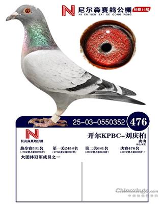 25������ɽ�᠖ɭ�Qِ476��