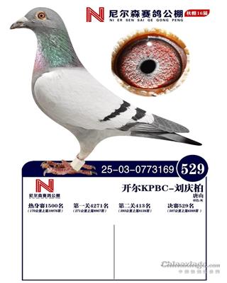 25������ɽ�᠖ɭ�Qِ529��