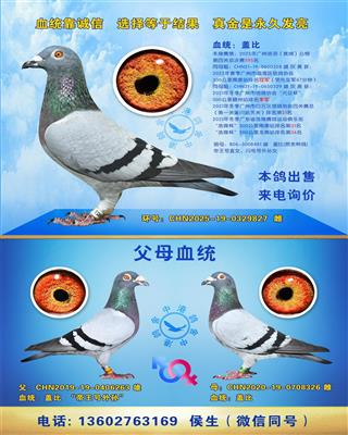 ���ݺ��𣨻��ң�������Ĺ��ܾ���595��