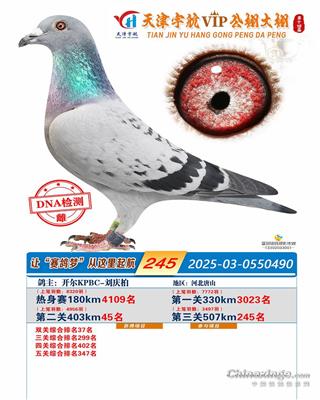 25���������������245��